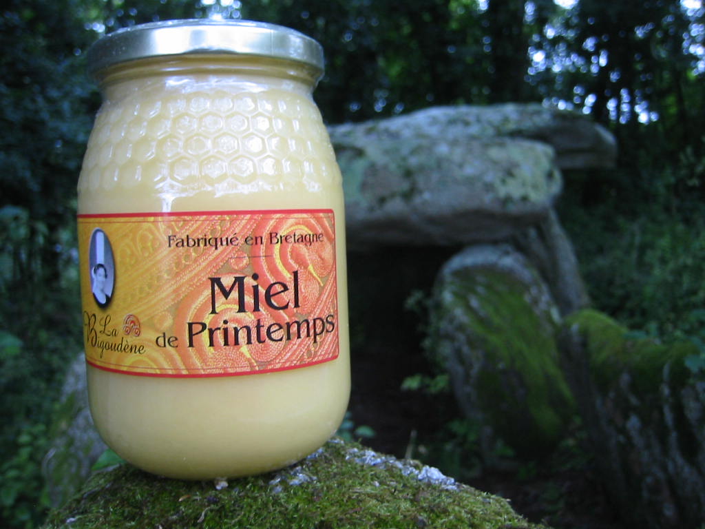 Miel de Printemps 500g